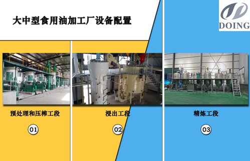 食用油加工厂的投资规模 因素分析与理性决策